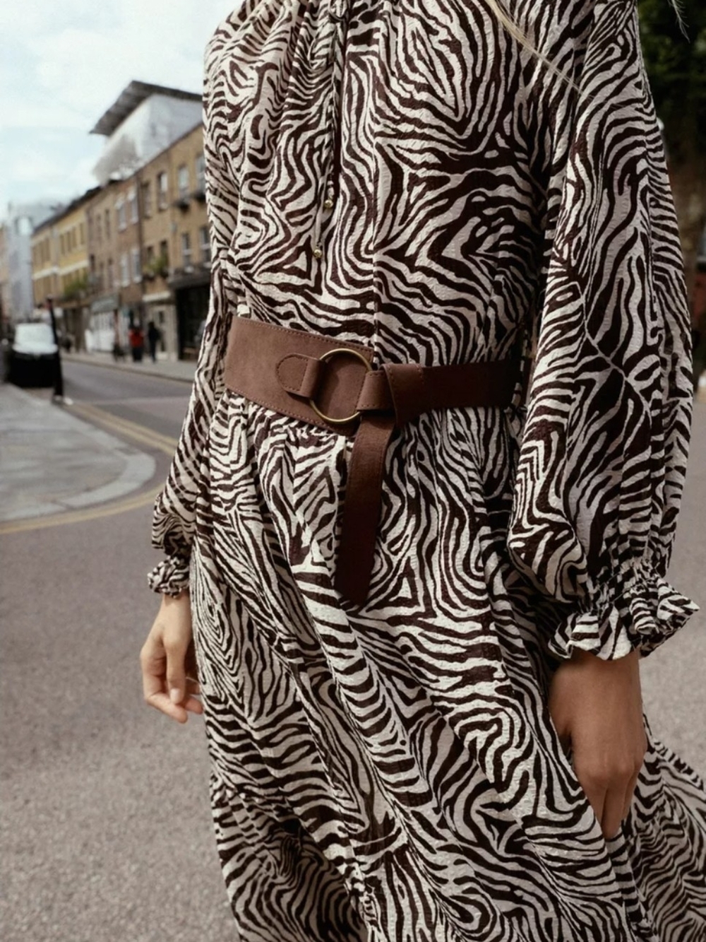 Zara Zebra-Print Maxi Dress in Cream & Black - Picture 5 of 8